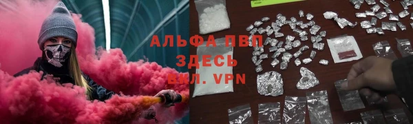 гидра Бородино