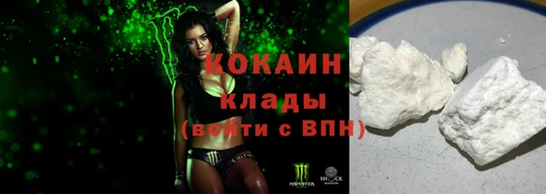 гидра Бородино