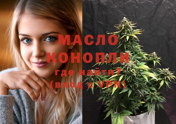 гидра Бородино