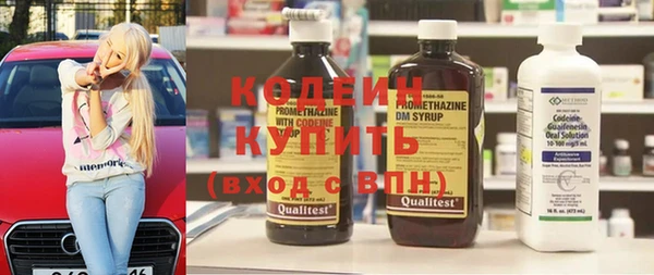 гидра Бородино