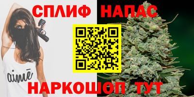 дмт Беслан