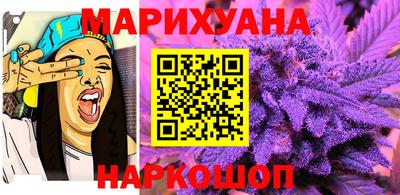 мдпв Бийск