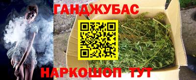 мдпв Бийск