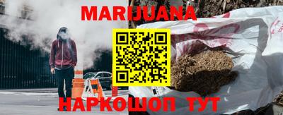 мдпв Бийск