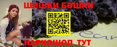 мдпв Бийск