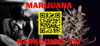 мдпв Бийск