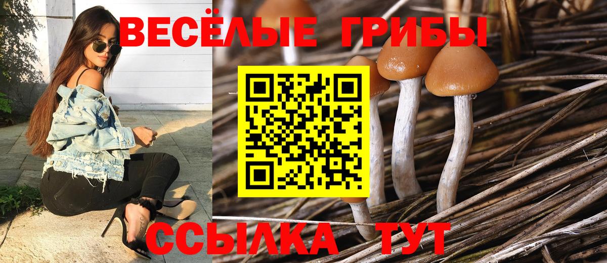 Галлюциногенные грибы мухоморы Видное