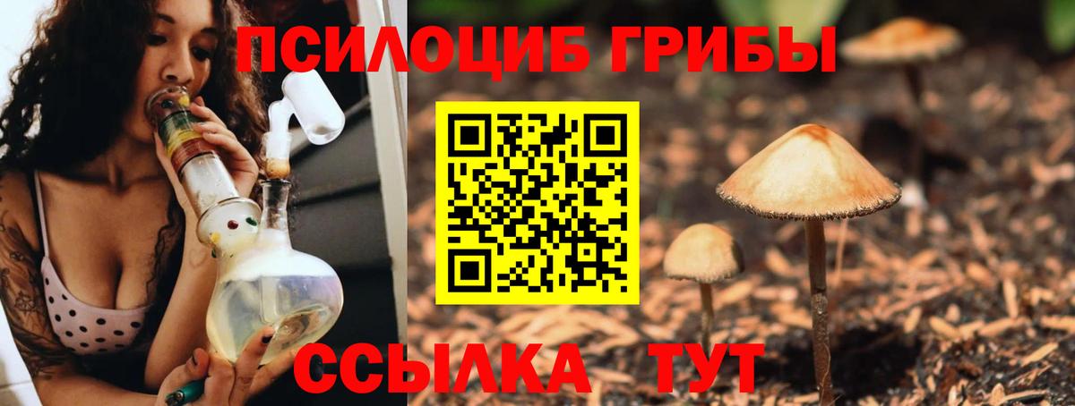 Псилоцибиновые грибы прущие грибы  Псилоцибиновые грибы Magic Shrooms  Видное  где продают   Вход с VPN 